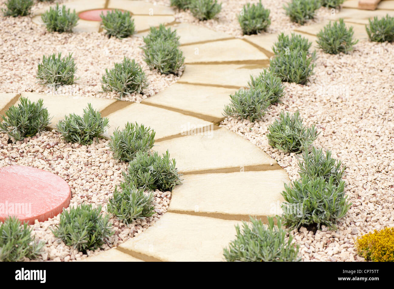 "Gli amanti della natura il giardino di erbe aromatiche' mostrano giardino alla 2012 RHS mostrano in Cardiff Bute Park, Wales, Regno Unito. Progettato da Gaynor Edwards. Foto Stock
