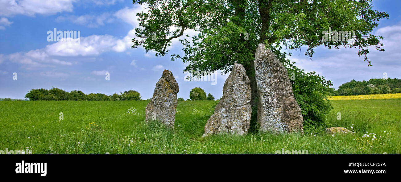 Il 3 pietre permanente / menhir di Oppagne vicino a Wéris, Ardenne belghe, Lussemburgo e Belgio Foto Stock