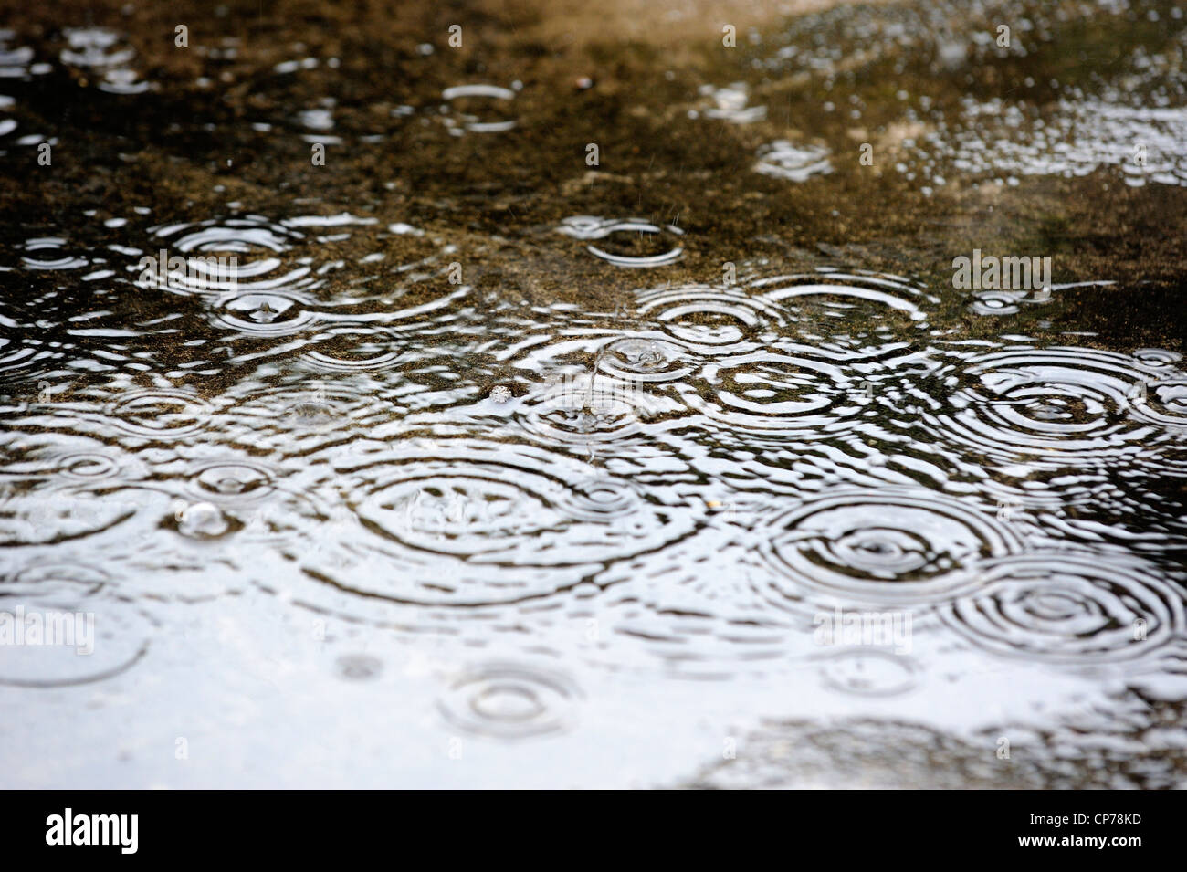 La pioggia che cade in una pozza d'acqua England Regno Unito Foto Stock
