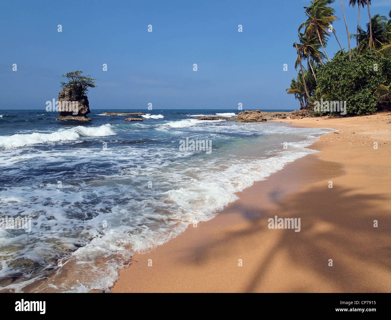 Spiaggia caraibica con silhouette di Palm tree sulla sabbia e un isolotto roccioso, Costa Rica, Manzanillo Foto Stock