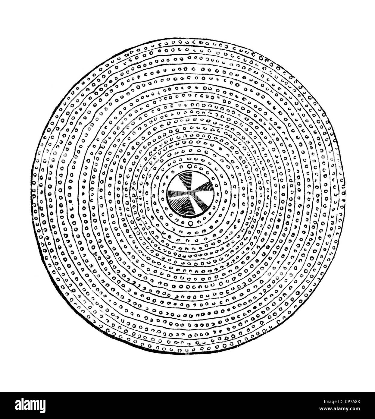 Illustrazione della circolare scudo celtico isolati su sfondo bianco. Foto Stock
