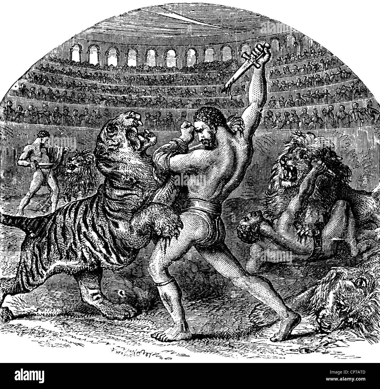 Incisione Di Gladiatori Combattere Wild Tiger E Lion Nel Colosseo Anfiteatro Roma Pubblicato Da D Rosa E Edito Da H W D Foto Stock Alamy