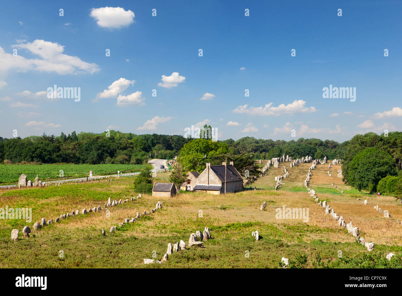 Un elevato angolo di visione di alcuni dei 3000 pietre permanente a Carnac, Brittany, Francia. Foto Stock