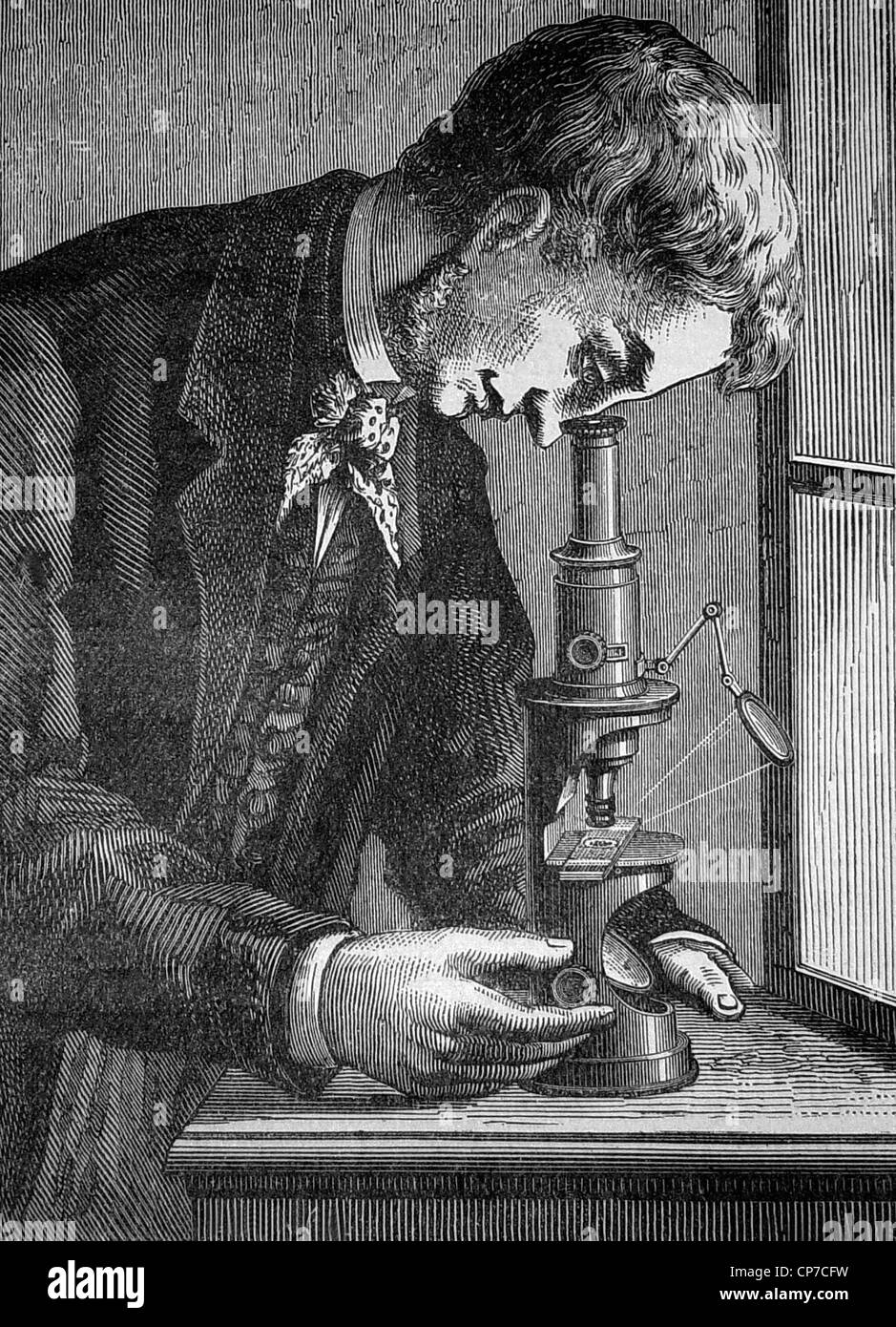 Mezzo corpo ritratto dello scienziato vittoriano guardando attraverso il microscopio, legno, incisi datata 1882, pubblicato da Montaner y Simon ho Foto Stock
