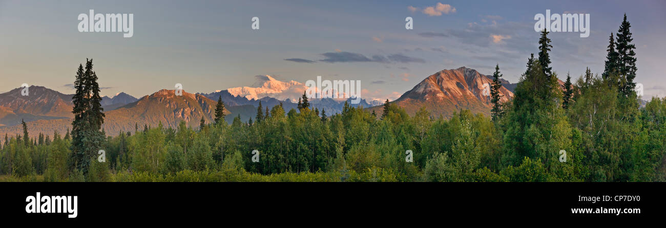 Sunrise alpenglow illumina il Monte McKinley e alci's Tooth, visto dal Veterans Memorial nel Denali State Park, Alaska Foto Stock