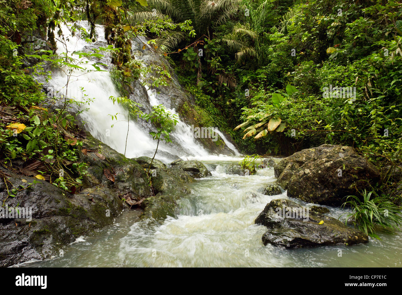 Cascata nella foresta pluviale del Choco biologica nella regione Western Ecuador Foto Stock