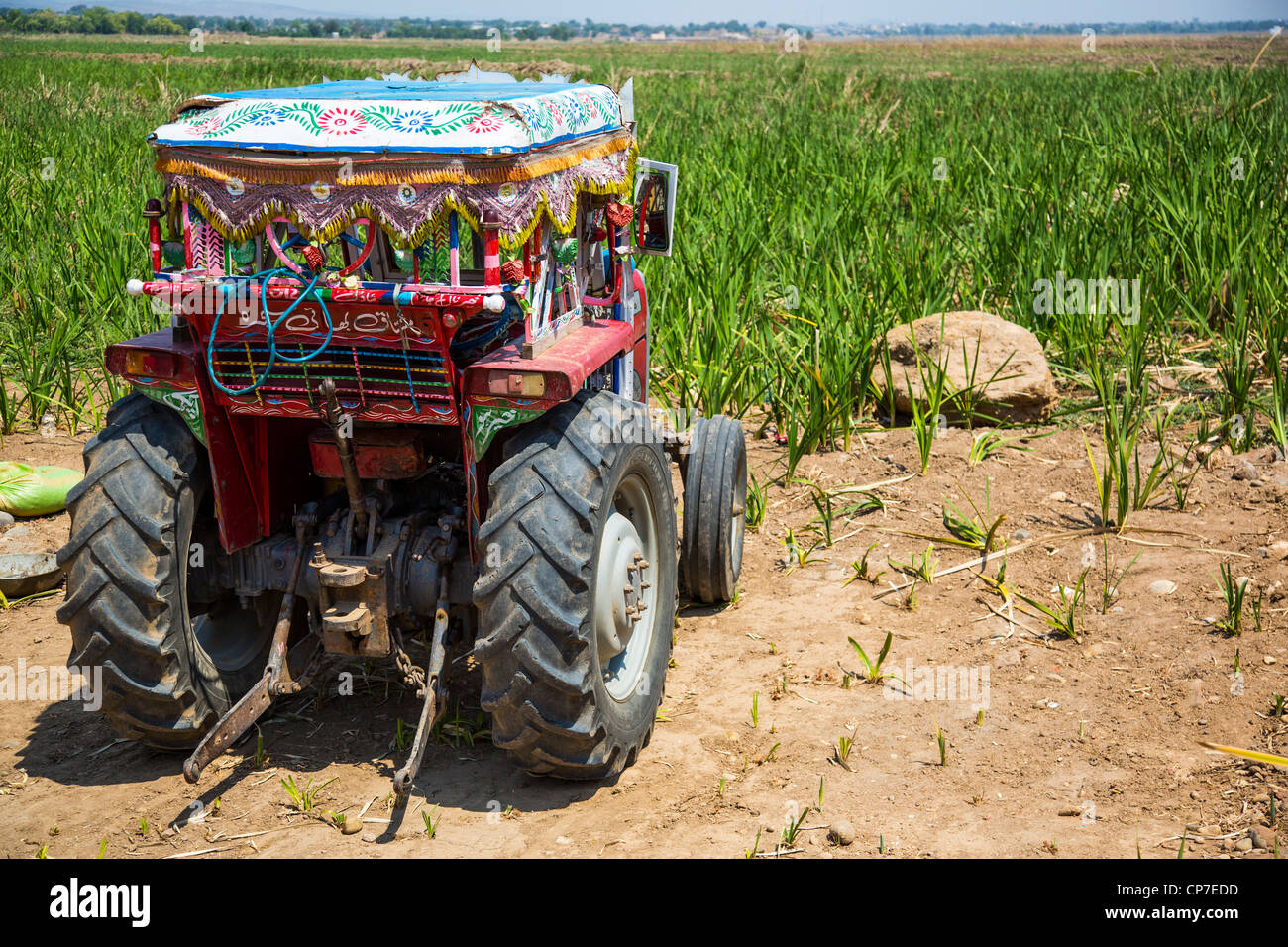 Il trattore nella provincia del Punjab, Pakistan Foto Stock