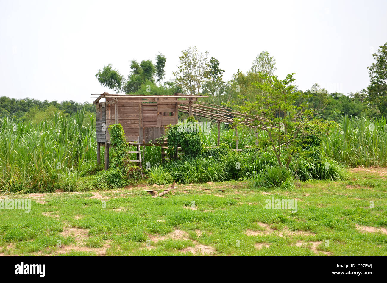 Stile Thailandese capanna in legno , sul nord-est della Thailandia Foto Stock
