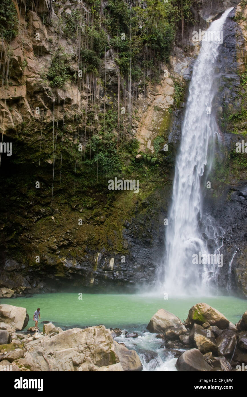 La figura solitaria di un uomo che danno la scala a Victoria Falls sul Fiume Bianco della Dominica West Indies Foto Stock