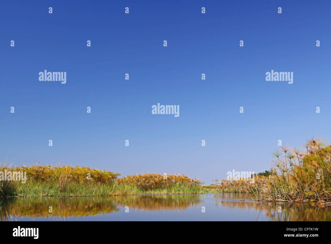 In tour nel Okavango-Delta Botsuana, natura Foto Stock