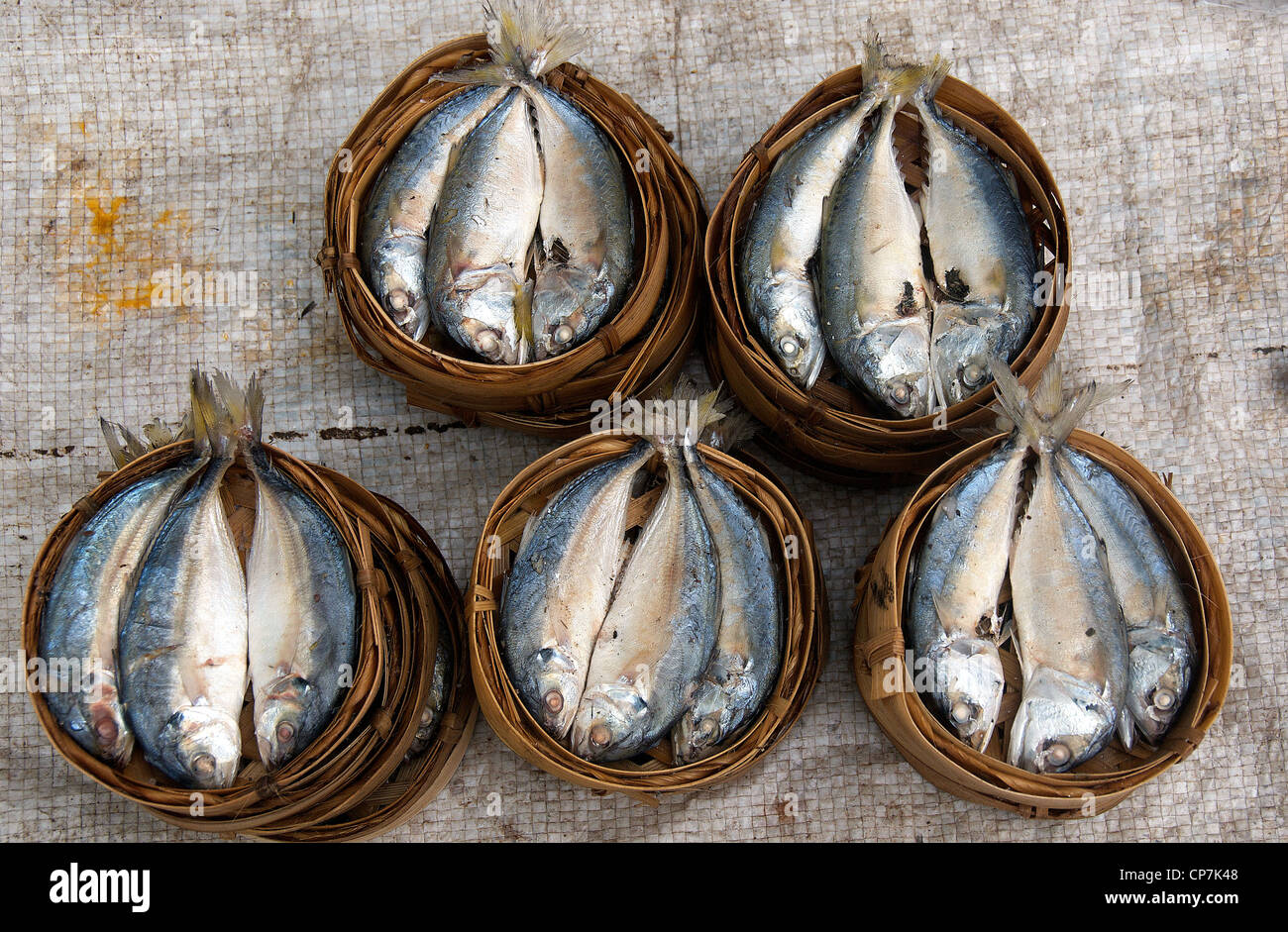 Il pesce fresco del fiume Mekong nel cestello , mercato in street, Luang Prabang Laos Foto Stock