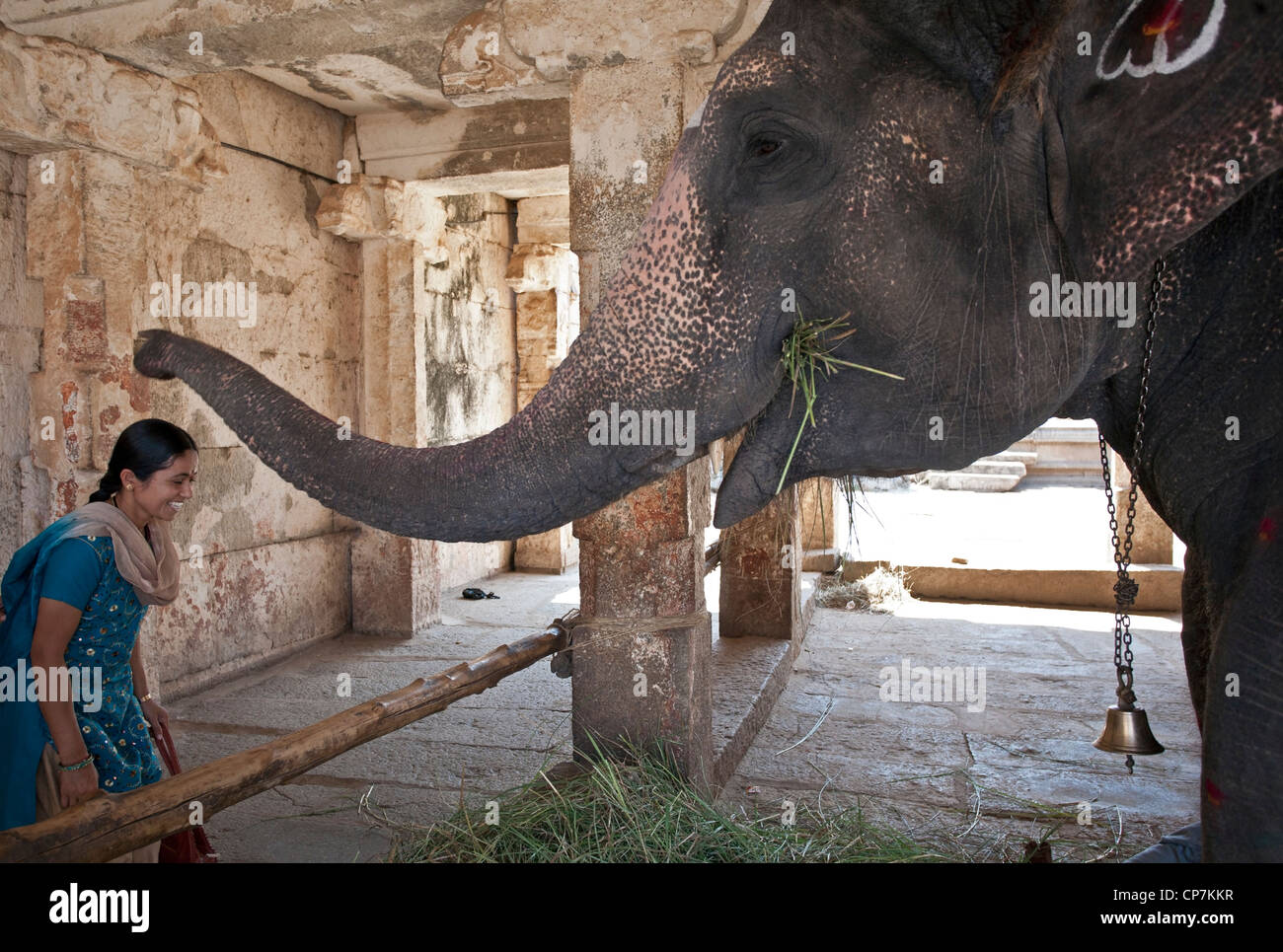Benedizione di elefante una donna. Tempio Virupaksha. Hampi. India Foto Stock Benedizione di elefante una donna. Tempio Virupaksha. Hampi. India Foto Stock