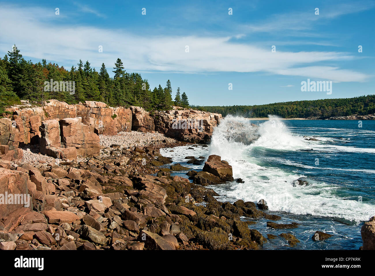 Il paesaggio costiero, Ocean Drive, Acadia NP, Maine, ME, STATI UNITI D'AMERICA Foto Stock