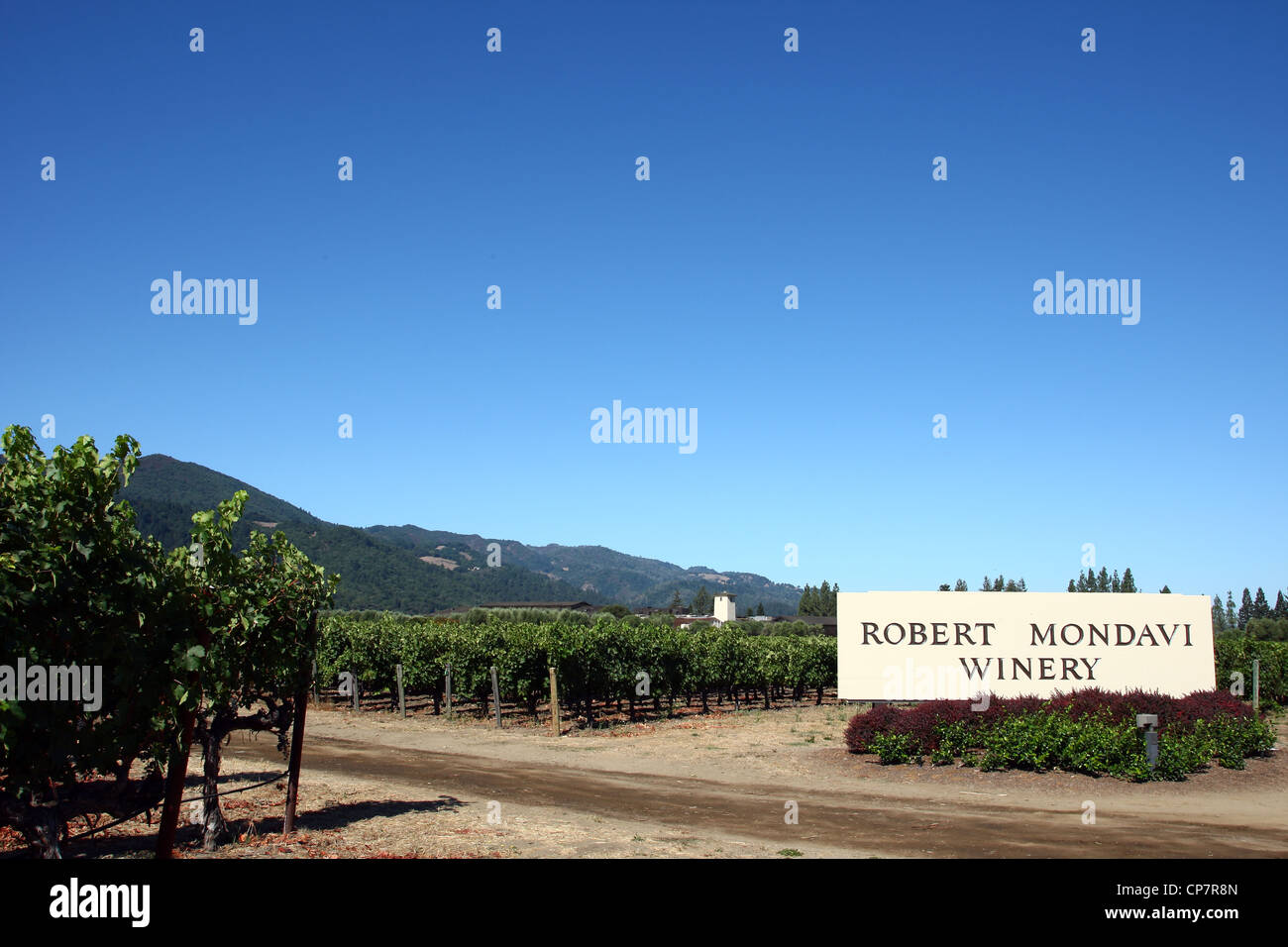 ROBERT MONDAVI WINERY Napa Valley California USA 06 Ottobre 2011 Foto Stock