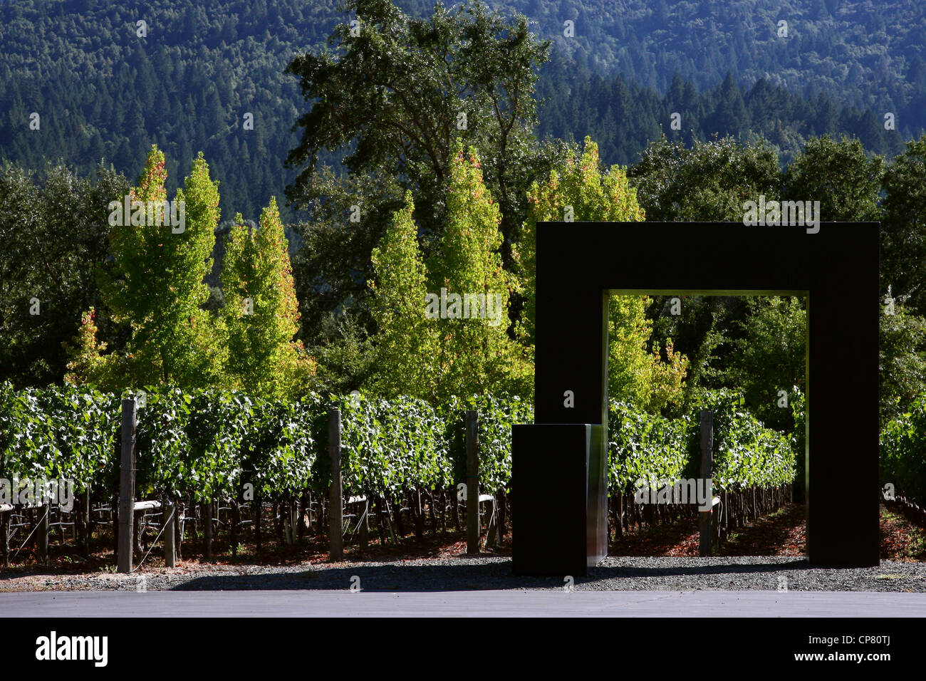 Arte al CLOS PEGASE WINERY NAPA VALLEY VINEYARD 06 Ottobre 2011 Foto Stock