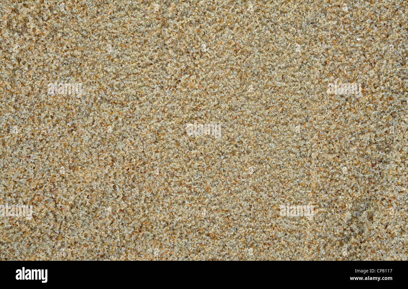 Sfondo sabbia, grani, macro close up Foto Stock