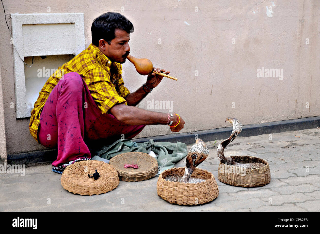 Un snakecharmer, Sri Lanka. Egli è affascinante due spectacled cobras in cesti. Foto Stock