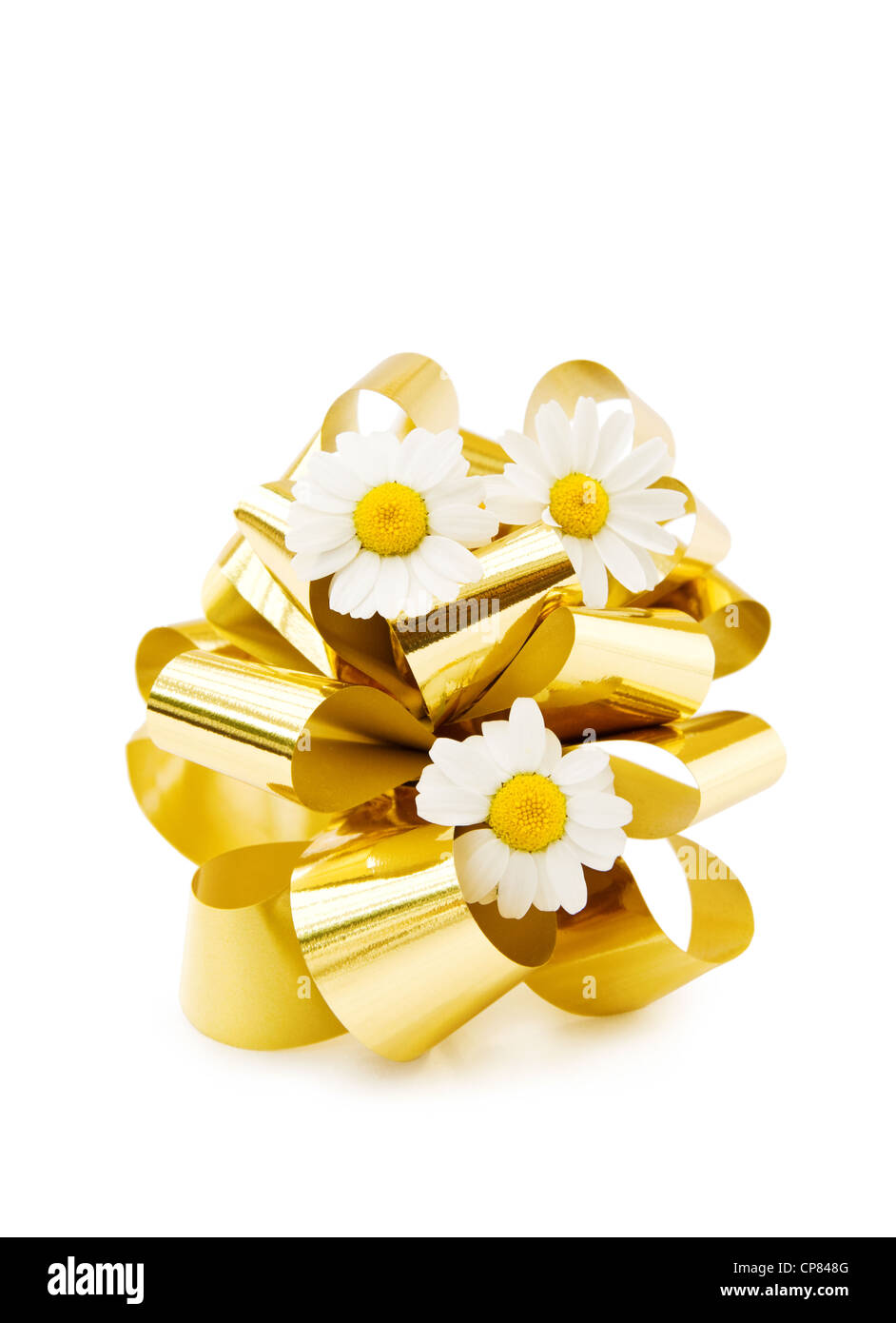 Per festeggiare un giorno speciale con margherite fresco e festoso golden bow. Isolato su bianco. Foto Stock