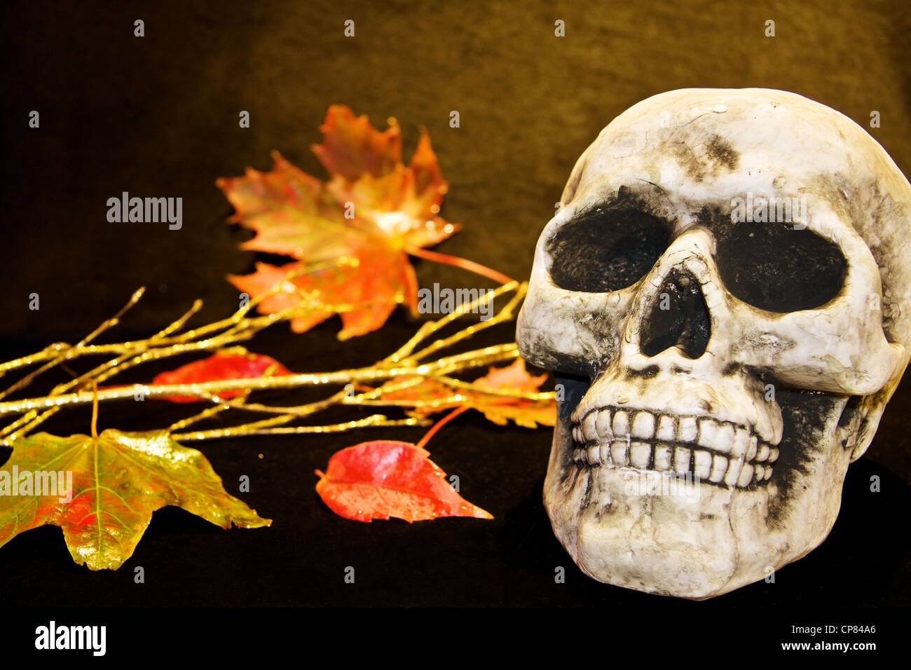 Celebrare Halloween con scary teschio umano e foglie. Foto Stock