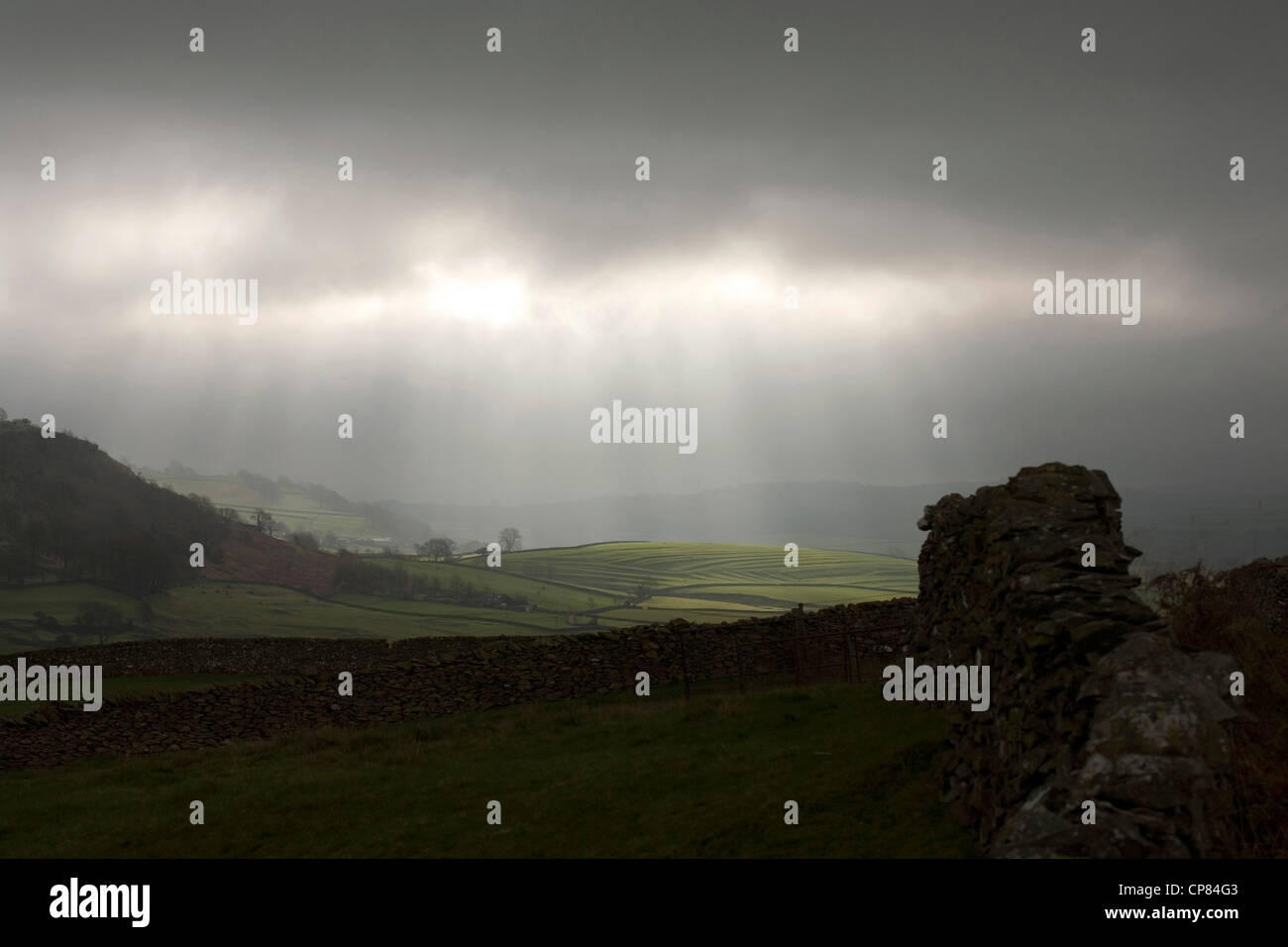 Alberi di luce del sole evidenziando il campo medievale patterns e solchi Austwick Yorkshire Dales Inghilterra Foto Stock