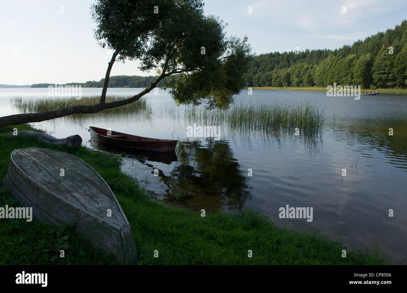 Aukstaitija National Park, Lituania, Paesi Baltici Foto Stock