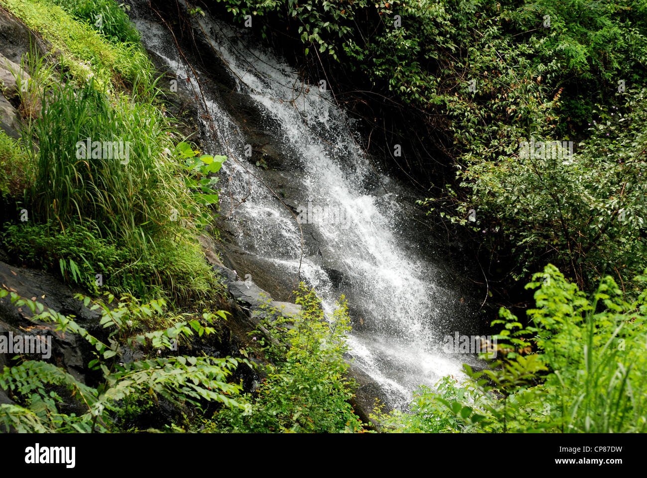 Cascate a Kuttikanam, Kerala, India Foto Stock