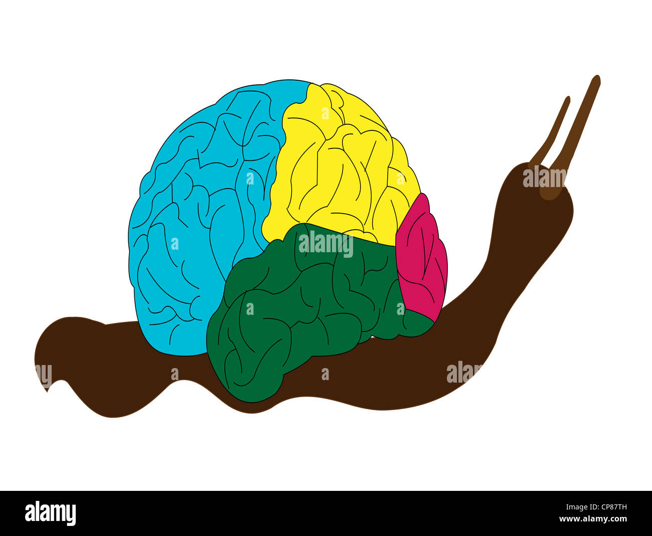 Illustrazione di un cervello Foto Stock