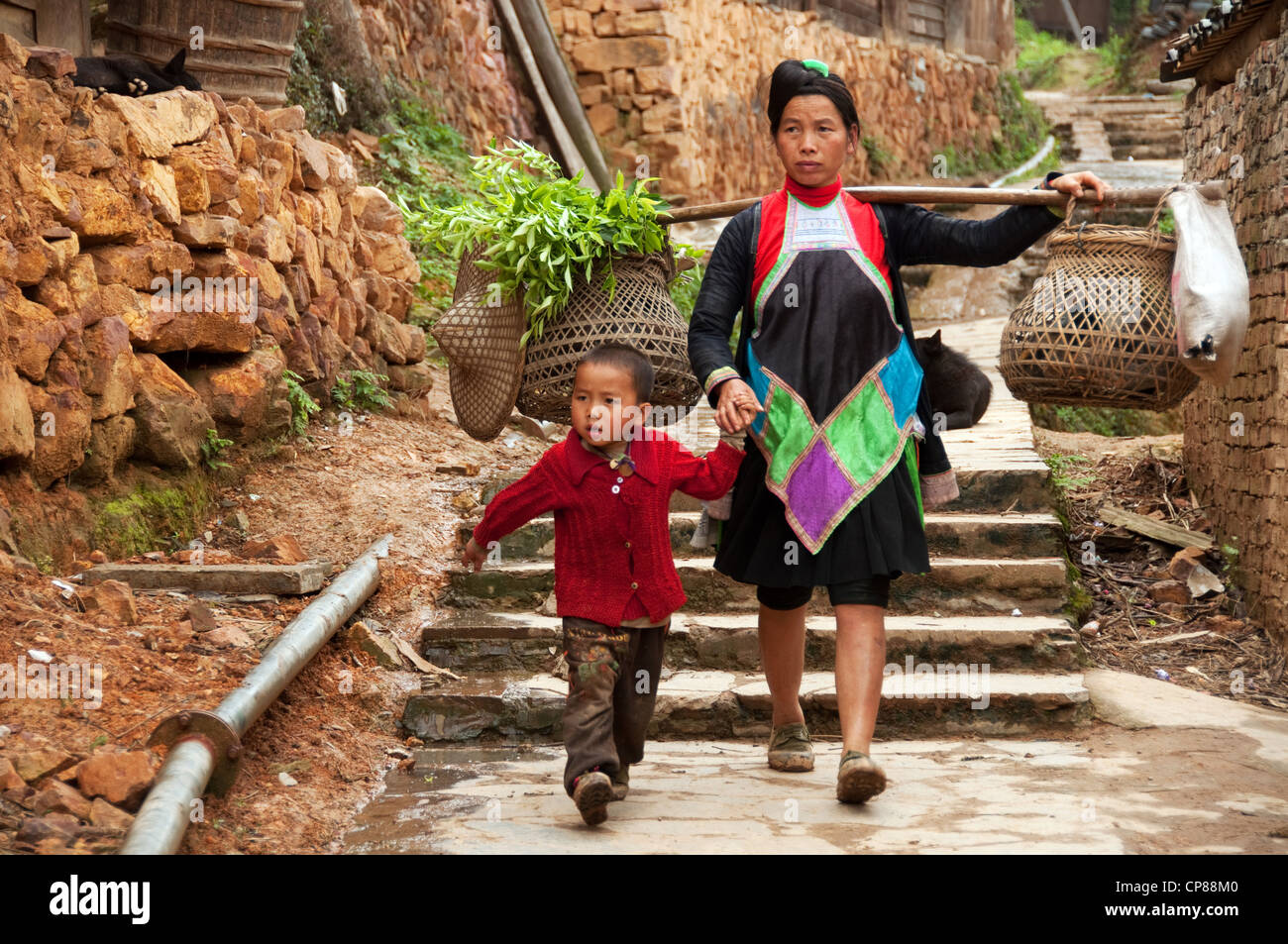 Un basha miao donna che porta sulle sue spalle cesti con verdure e un bambino in un villaggio, Cina Foto Stock Un basha miao donna che porta sulle sue spalle cesti con verdure e un bambino in un villaggio, Cina Foto Stock