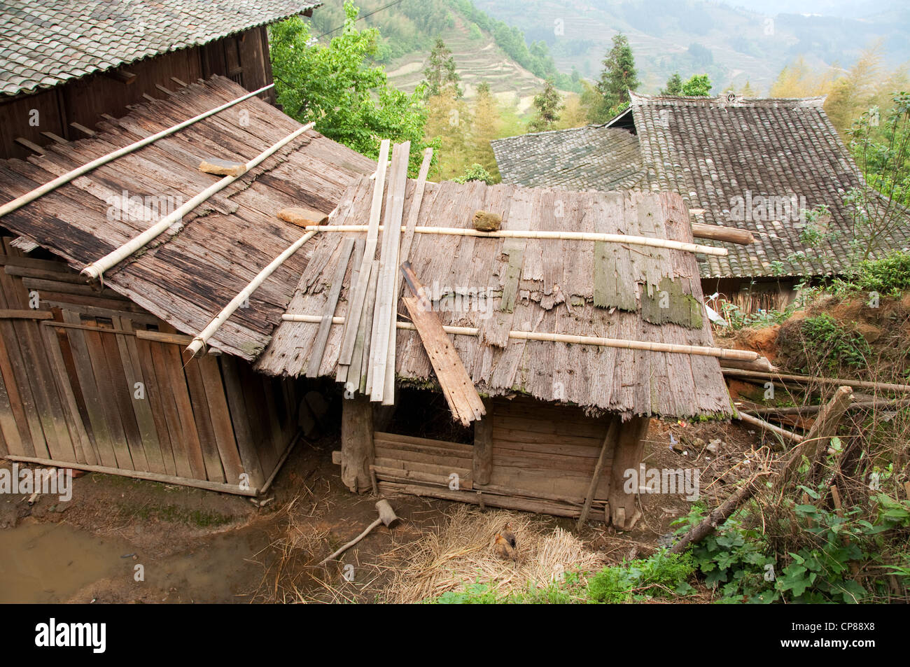 Tetto di un tradizionale basha miao (pistola uomini) casa nel sud della Cina Foto Stock Tetto di un tradizionale basha miao (pistola uomini) casa nel sud della Cina Foto Stock
