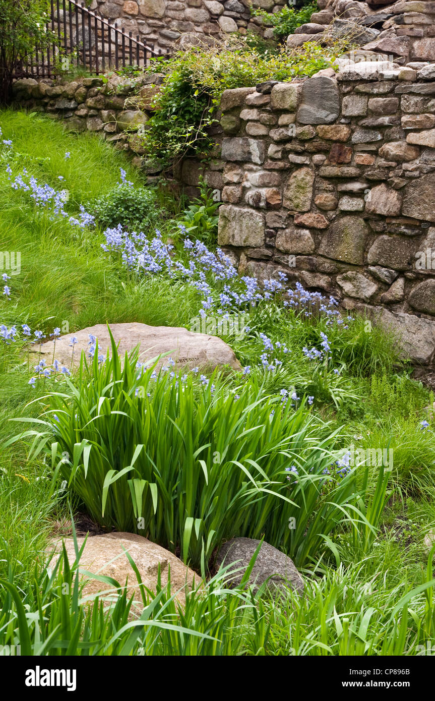 Dettagli giardino presso l' Irish fame memorial a Battery Park City Foto Stock