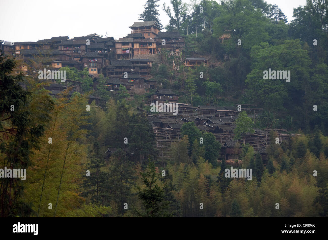 Un basha miao (pistola uomini) villaggio su una collina boscosa, Cina del Sud Foto Stock Un basha miao (pistola uomini) villaggio su una collina boscosa, Cina del Sud Foto Stock