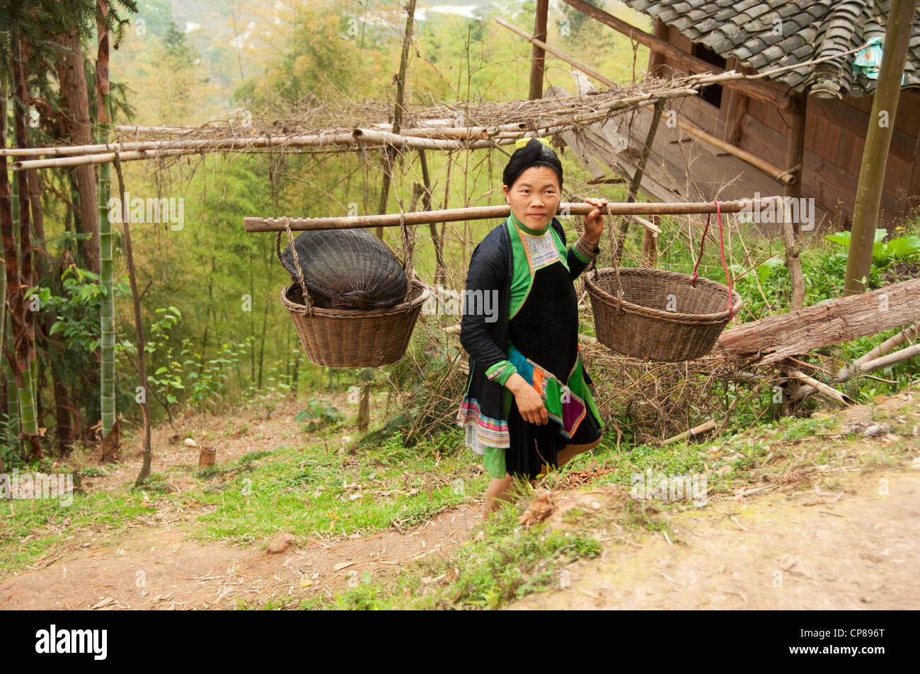 Un basha miao (pistola uomini) donna adulta che effettuano il trasporto di merci sulle sue spalle, Cina del Sud Foto Stock Un basha miao (pistola uomini) donna adulta che effettuano il trasporto di merci sulle sue spalle, Cina del Sud Foto Stock