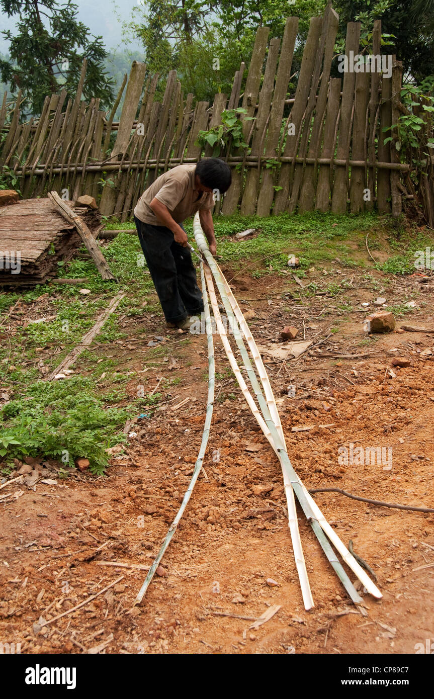 Un basha miao (pistola uomini) uomo adulto il taglio di una canna di bambù, Cina del Sud Foto Stock Un basha miao (pistola uomini) uomo adulto il taglio di una canna di bambù, Cina del Sud Foto Stock