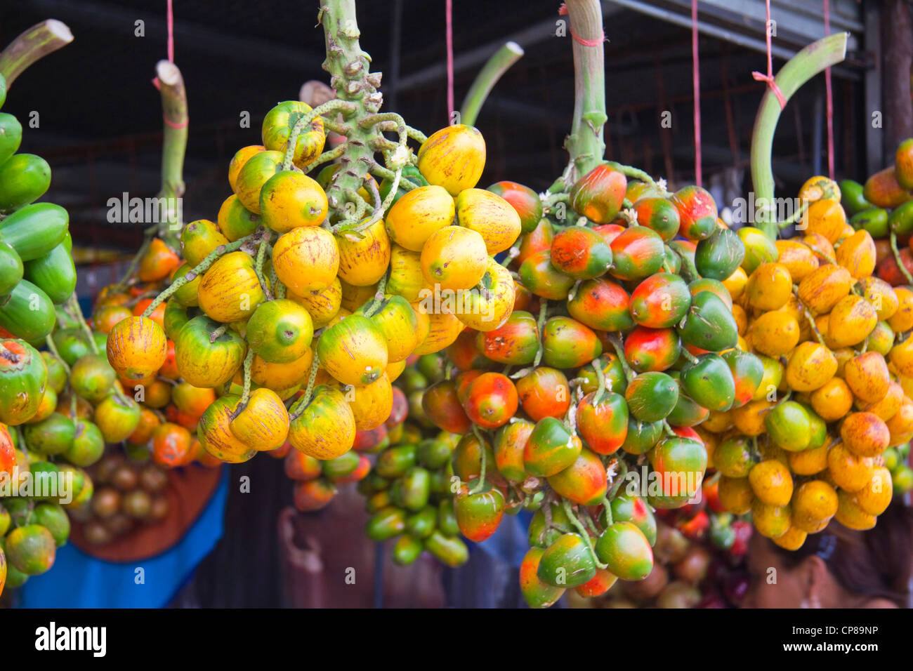 Pesche Frutto di Palm in vendita, Costa Rica, Sud America Foto Stock