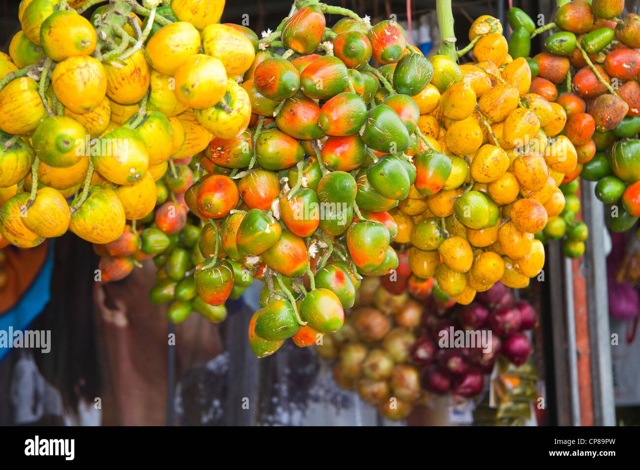 Pesche Frutto di Palm in vendita, Costa Rica, Sud America Foto Stock