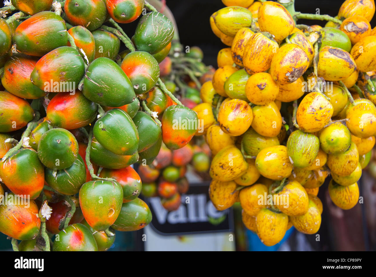 Pesche Frutto di Palm in vendita, Costa Rica, Sud America Foto Stock