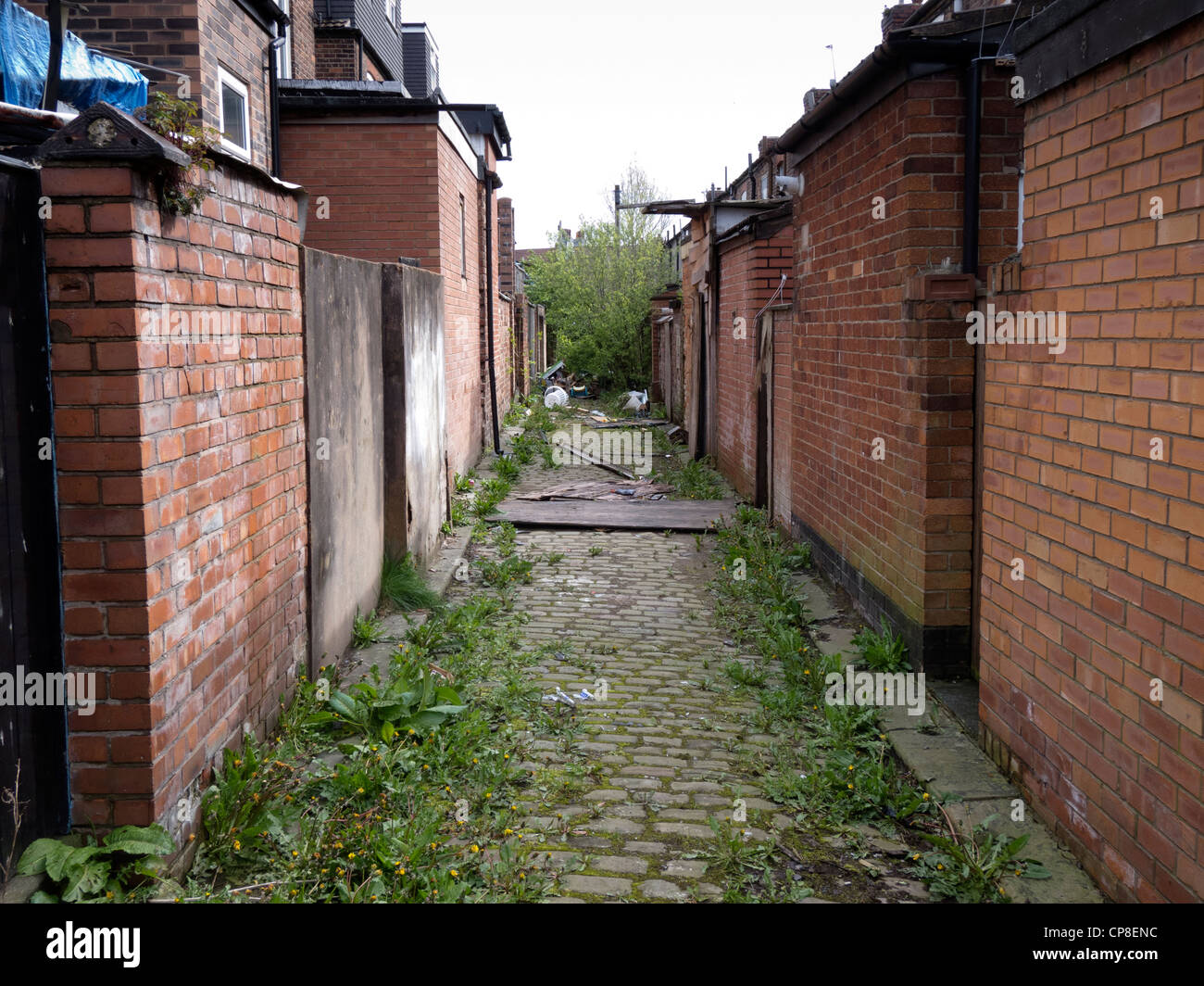 Inghilterra, Salford, tradizionale 'ginnel' o indietro vicoletto agli inizi del XIX secolo alloggiamento terrazzati. Foto Stock