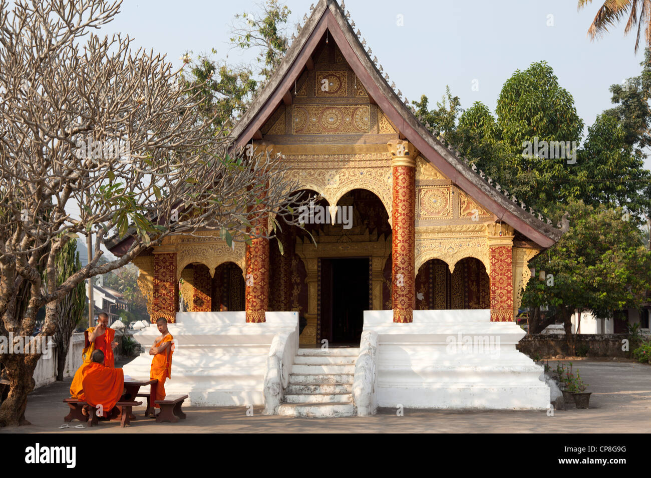 Novizi buddisti monaci avente una chat all'ombra di un albero (Luang Prabang-Laos). Moines Bouddhistes novizi bavardant à l'ombre. Foto Stock