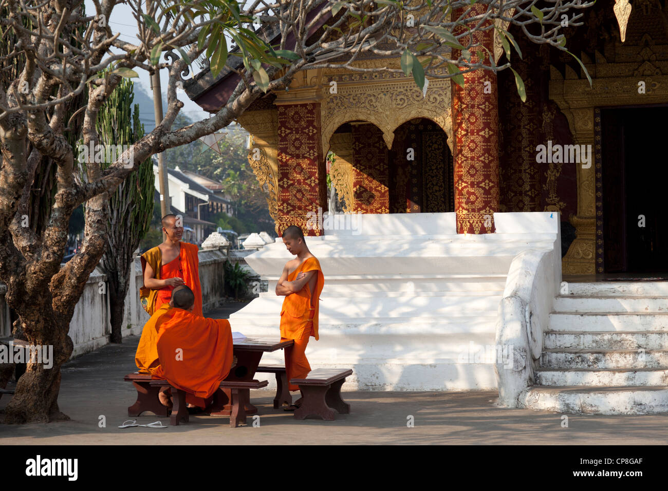Novizi buddisti monaci avente una chat all'ombra di un albero (Luang Prabang-Laos). Moines Bouddhistes novizi bavardant à l'ombre. Foto Stock