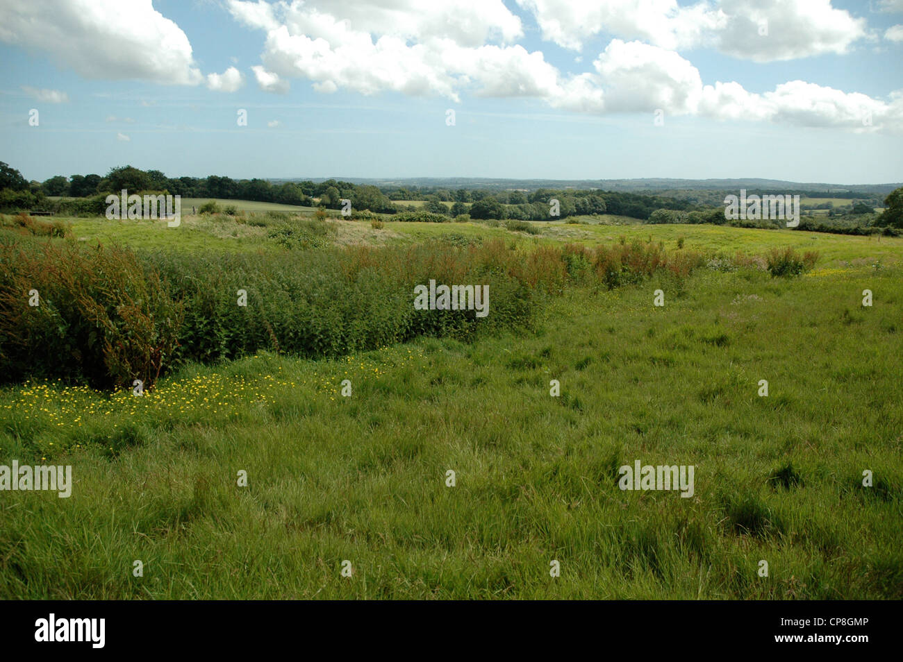 Campagna del Sussex in una giornata di sole. Foto Stock