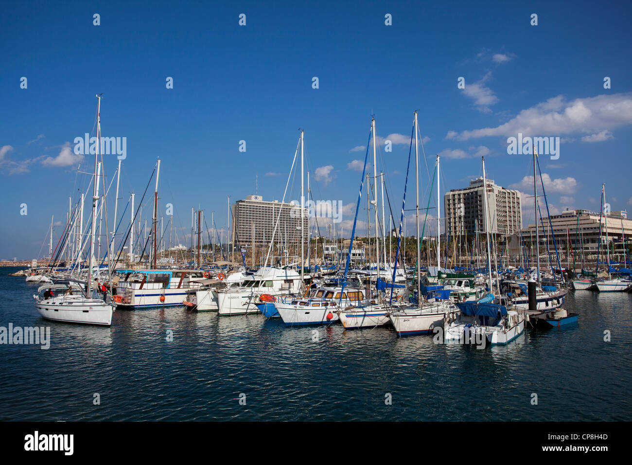 Yacht Marina Tel Aviv con cityscape in background, Israele Foto Stock