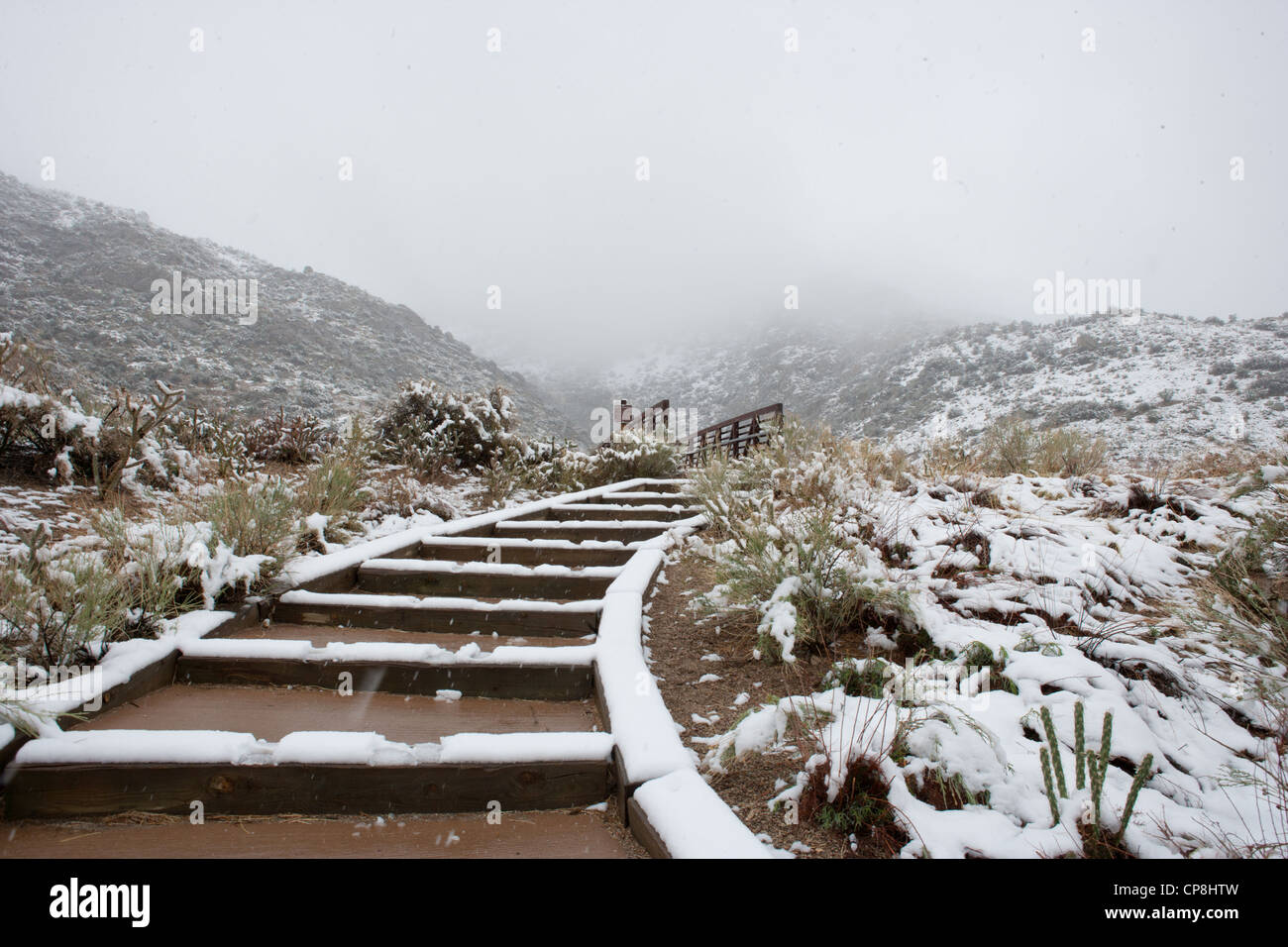 Neve ponte coperto, sentiero escursionistico ai piedi delle colline di Albuquerque, Nuovo Messico. Foto Stock