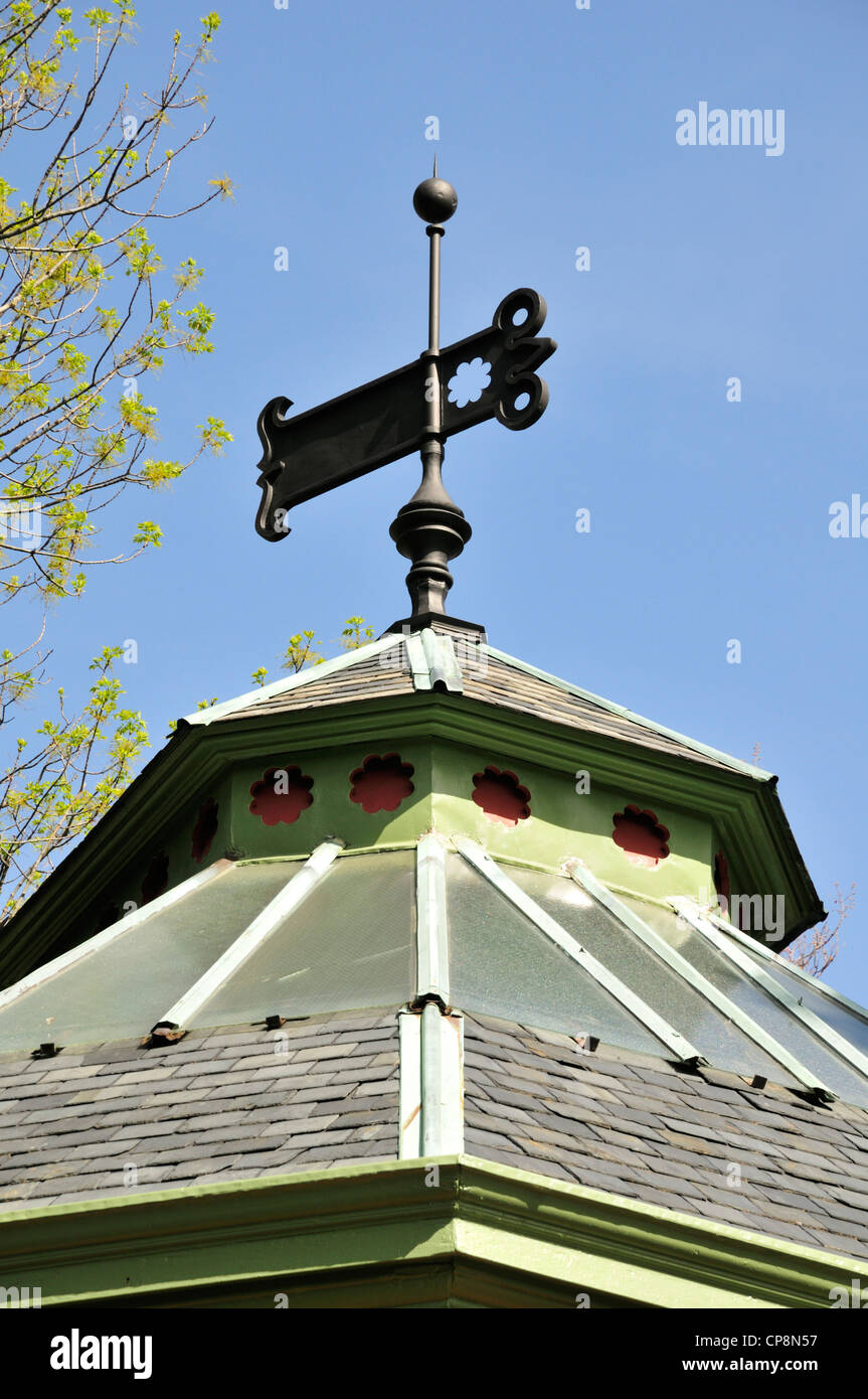 Banderuola sulla sommità del vecchio Castello Nuovo Delaware library Foto Stock