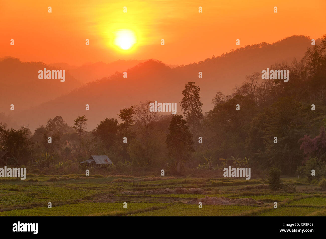 Elk208-3320 Thailandia, Mae Hong Son area, riso paddi paesaggio a nord della città al tramonto Foto Stock