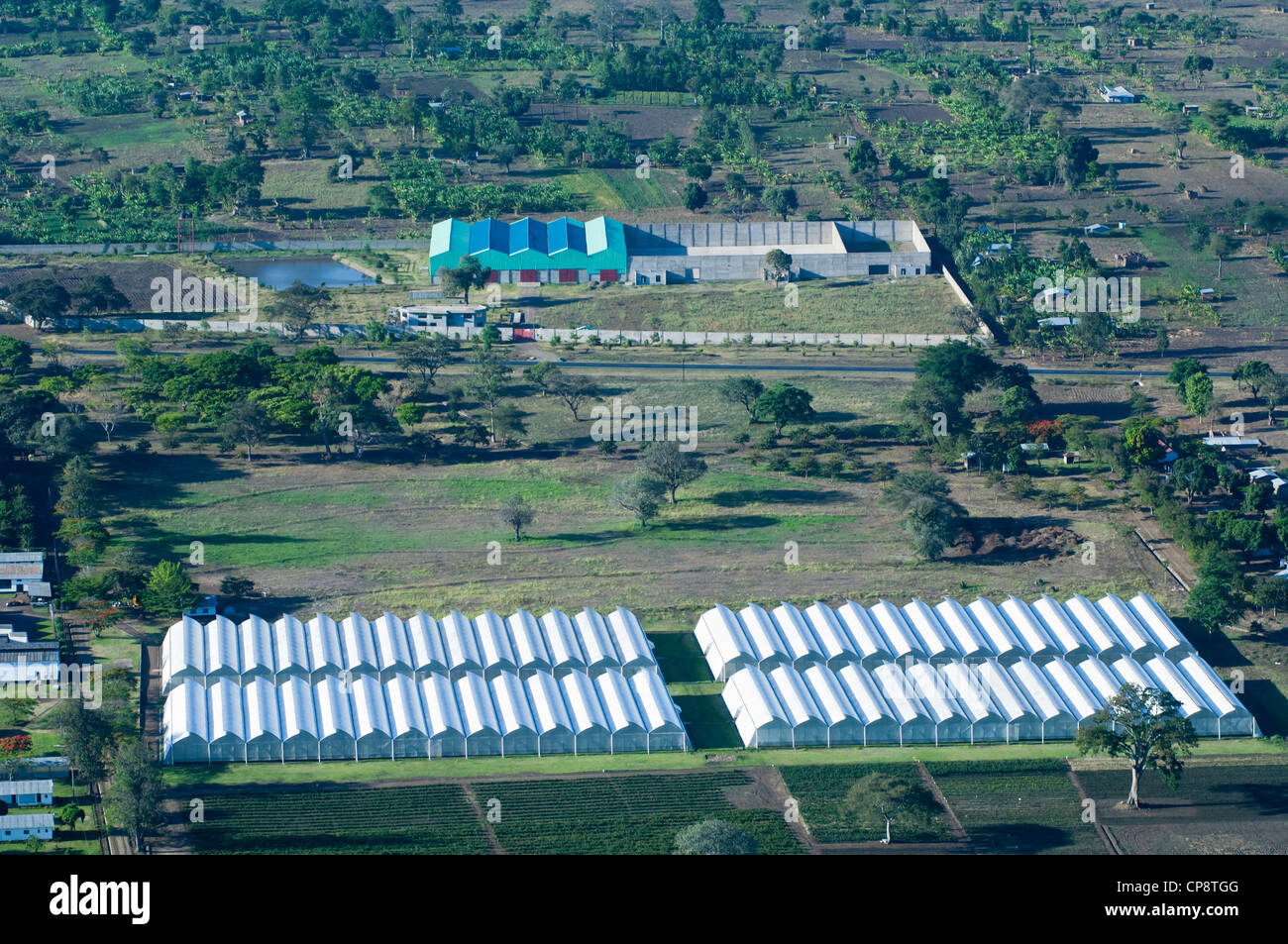 Serre, orticoltura produzione per esportazione in Europa, vista aerea, Regione di Arusha, Tanzania Foto Stock