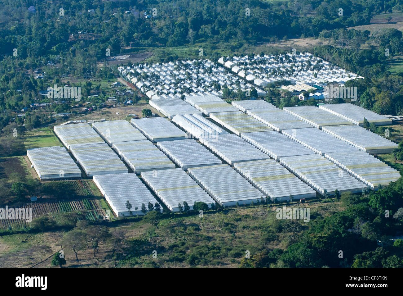 Serre, orticoltura produzione per esportazione in Europa, vista aerea, Regione di Arusha, Tanzania Foto Stock