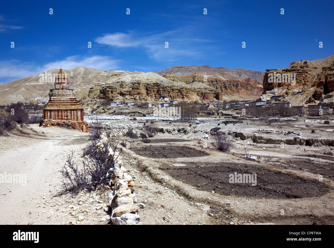 Fotografia a colori di una valle arida e di un cortometraggio, lo Manthang, Mustang, Nepal, Asia, 2011. Foto Stock