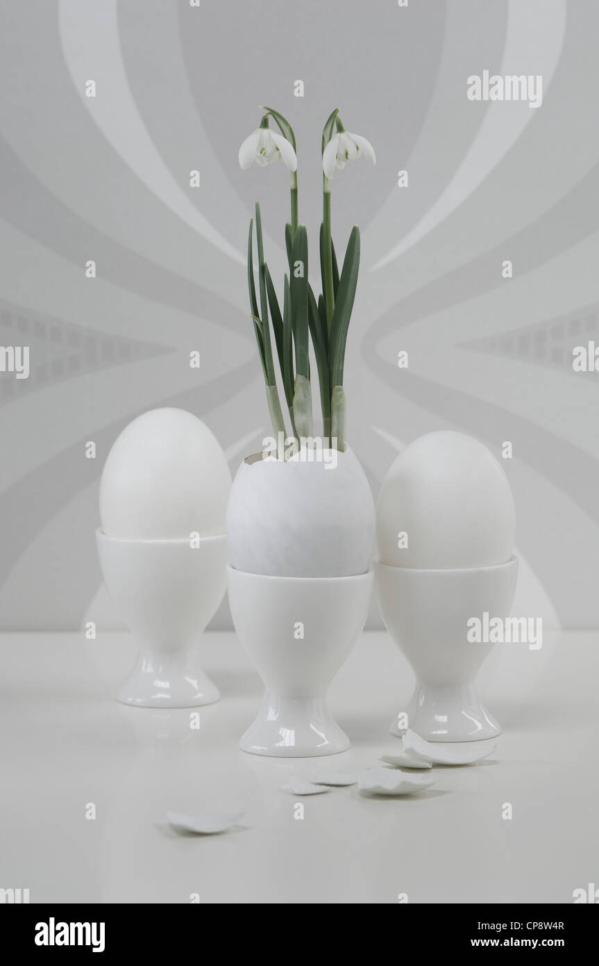 Bianco in uovo uovo e coppa snowdrop nel guscio d'uovo, close up Foto Stock