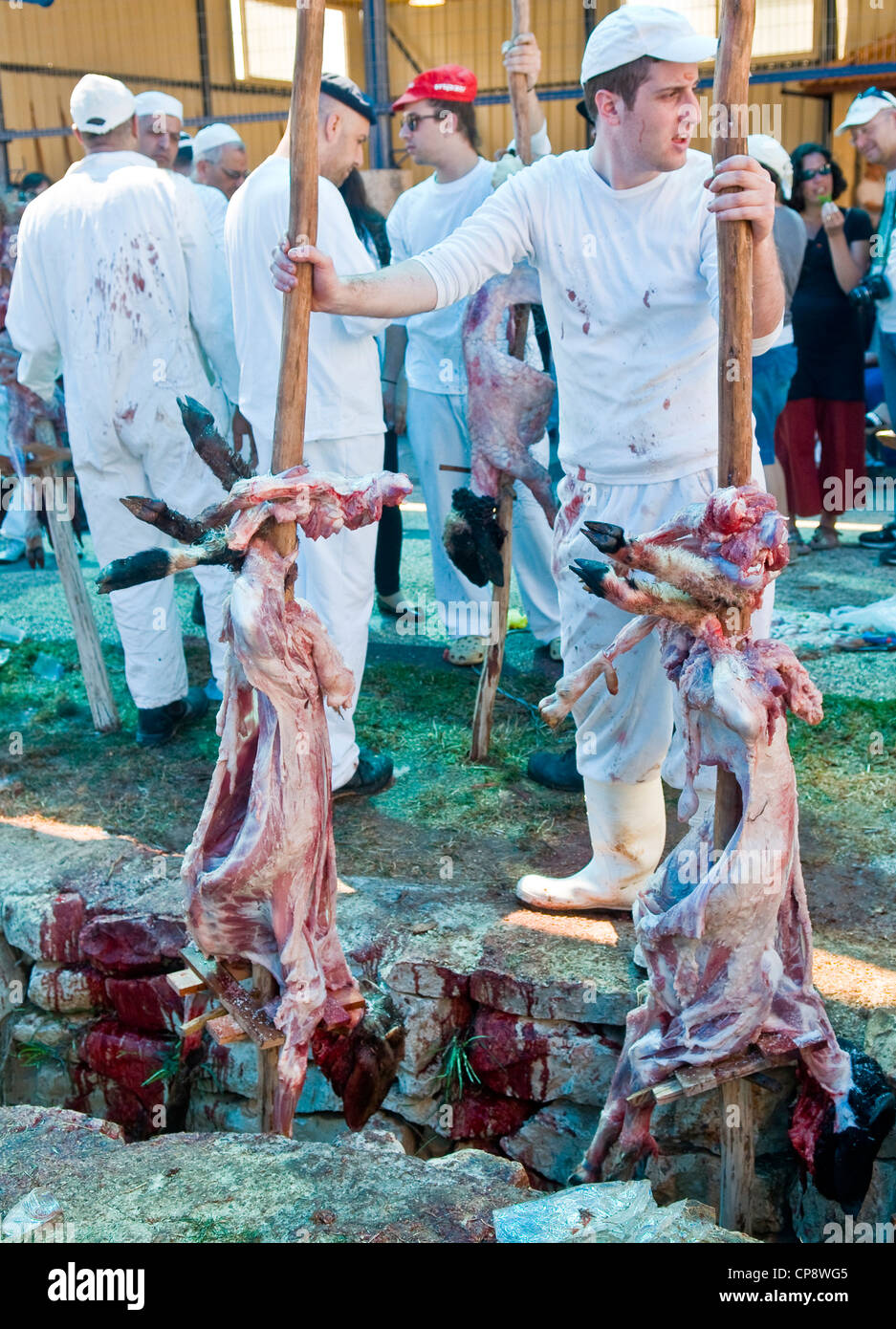 I membri dell'antica comunità samaritana durante la Pasqua tradizionale sacrificio nel monte Gherizim vicino a Nablus Foto Stock