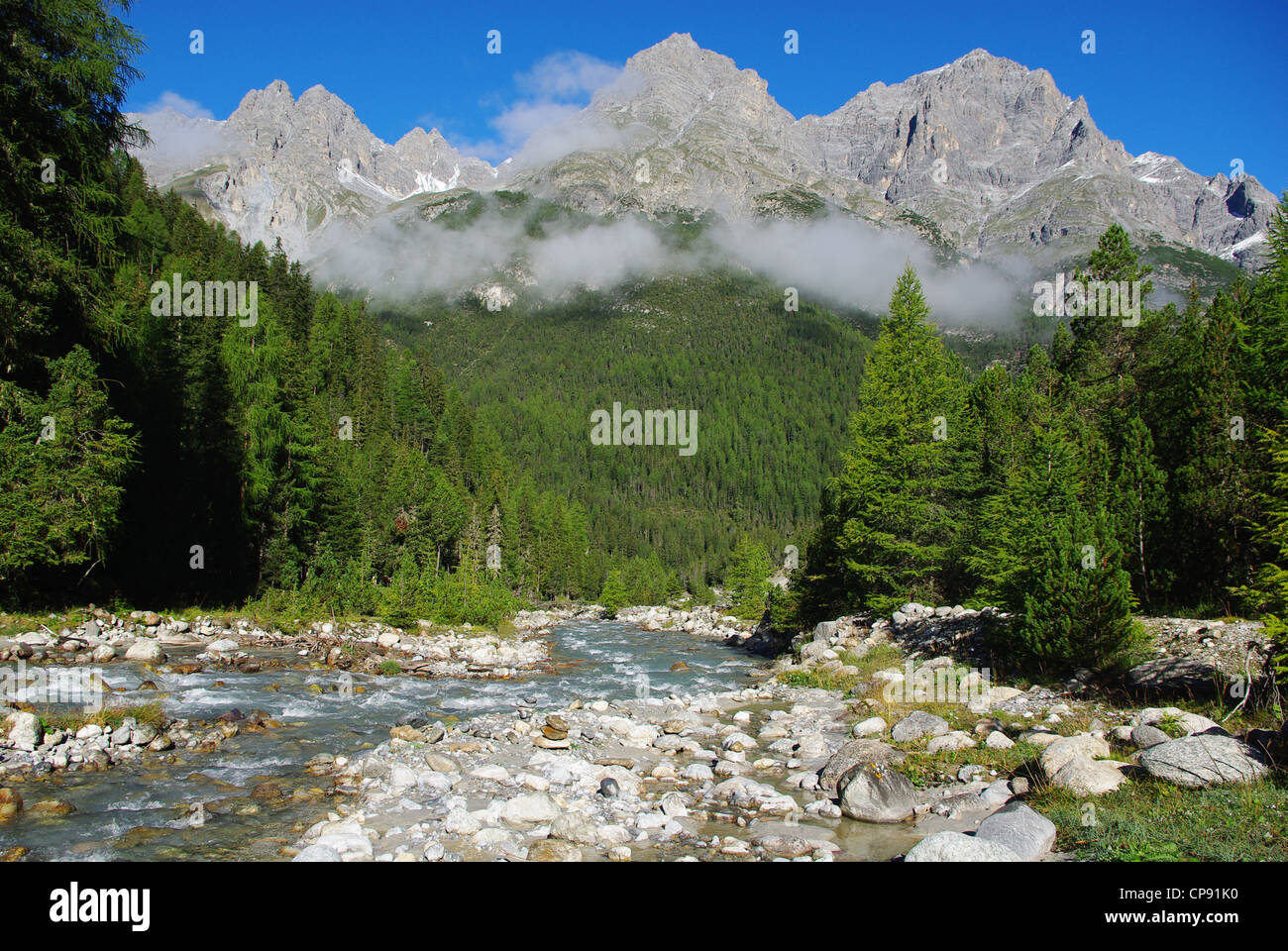 Torrente di montagna, foreste e montagne vicino a S-charl, Svizzera Foto Stock